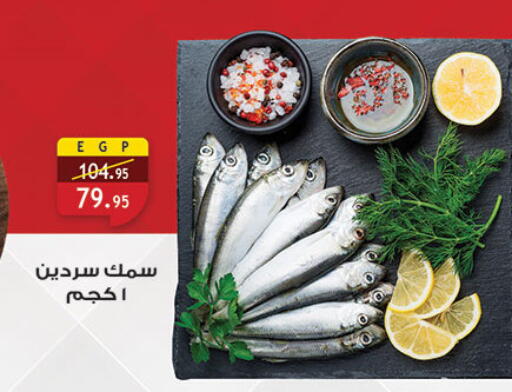 available at Al Rayah Market   in Egypt - Cairo