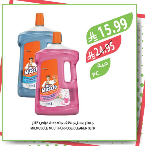 مستر ماسل منظف عام available at المزرعة in مملكة العربية السعودية, السعودية, سعودية - الباحة