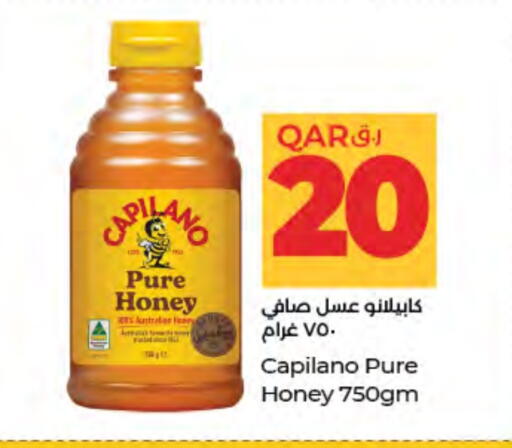Honey available at LuLu Hypermarket in Qatar - Al Shamal