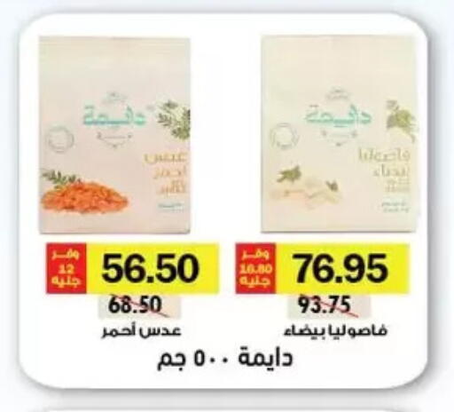 available at Royal House in Egypt - Cairo