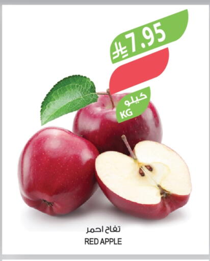 Apples available at Farm  in KSA, Saudi Arabia, Saudi - Sakaka