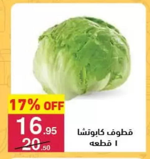 available at محمود الفار in Egypt - القاهرة