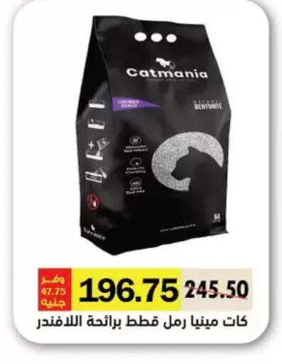 available at Royal House in Egypt - Cairo