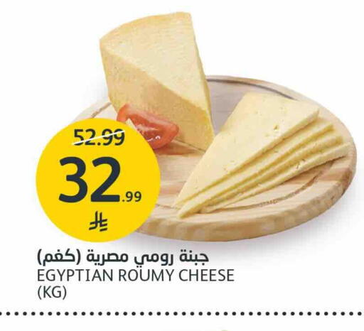 جبنة رومي available at مركز الجزيرة للتسوق in مملكة العربية السعودية, السعودية, سعودية - الرياض