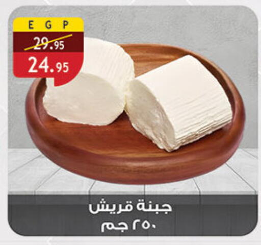 available at Al Rayah Market   in Egypt - Cairo