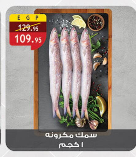 available at Al Rayah Market   in Egypt - Cairo