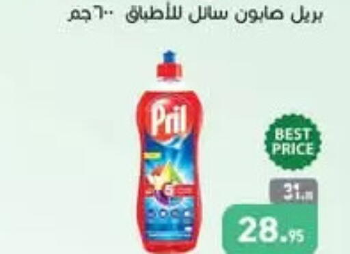 بريل available at أسواق العثيم in Egypt - القاهرة