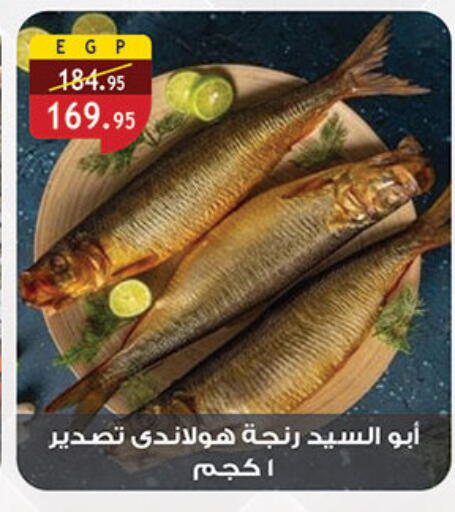available at الرايه  ماركت in Egypt - القاهرة