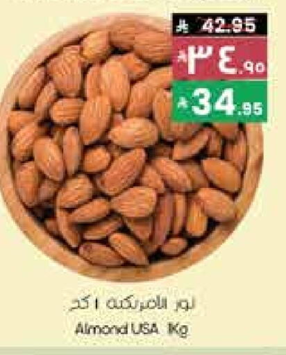 available at ستي فلاور in مملكة العربية السعودية, السعودية, سعودية - الجبيل‎