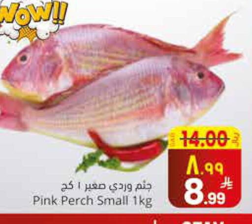 available at City Flower in KSA, Saudi Arabia, Saudi - Najran