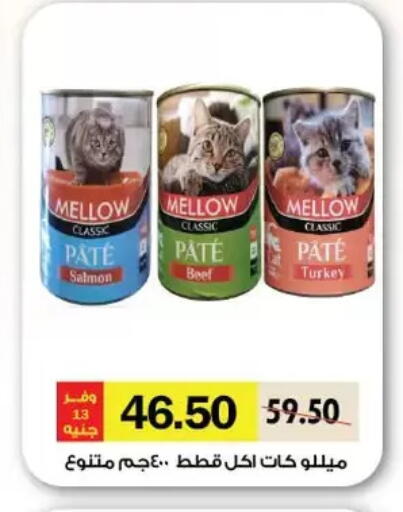 available at Royal House in Egypt - Cairo