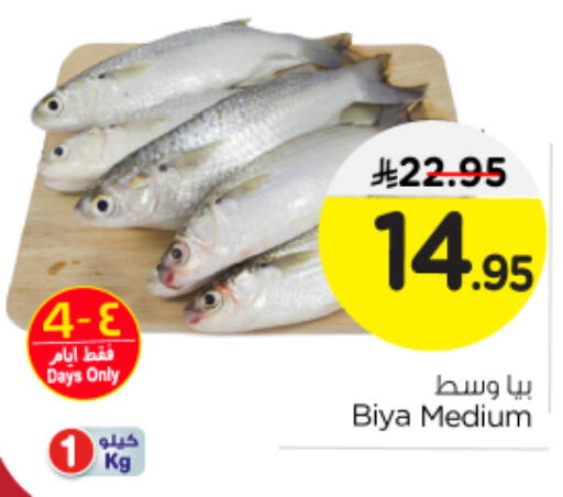 available at Nesto in KSA, Saudi Arabia, Saudi - Al-Kharj