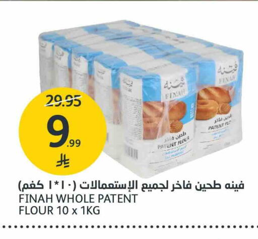 طحين متعدد الاستعمالات available at مركز الجزيرة للتسوق in مملكة العربية السعودية, السعودية, سعودية - الرياض