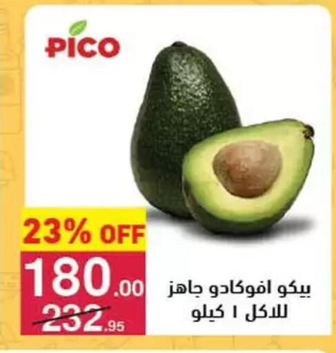 أفوكادو available at محمود الفار in Egypt - القاهرة