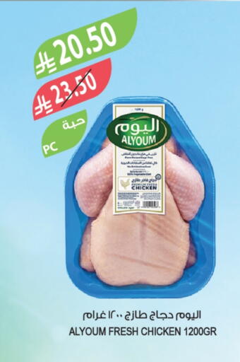 Fresh Whole Chicken available at Farm  in KSA, Saudi Arabia, Saudi - Al Hasa