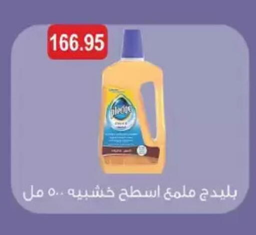 PLEDGE available at Royal House in Egypt - Cairo