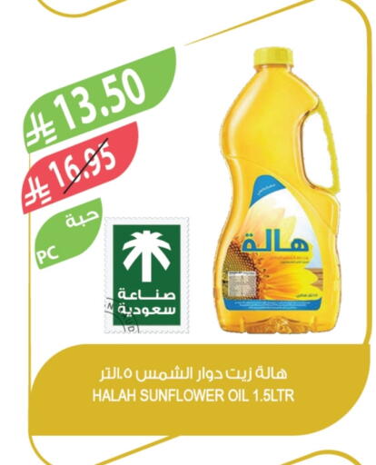 Sunflower Oil available at Farm  in KSA, Saudi Arabia, Saudi - Arar
