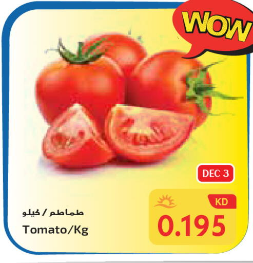 Tomato available at Grand Hyper in Kuwait - Ahmadi Governorate