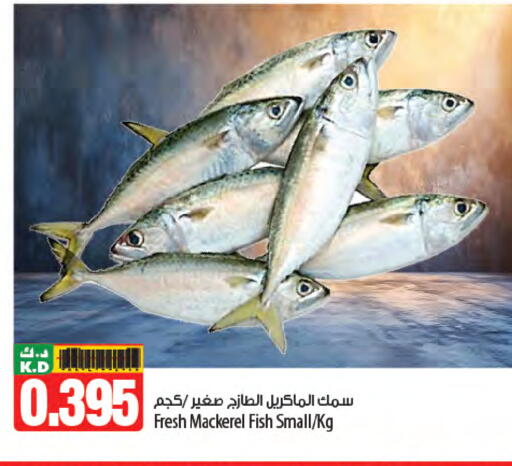 Mango available at Mango Hypermarket  in Kuwait - Ahmadi Governorate