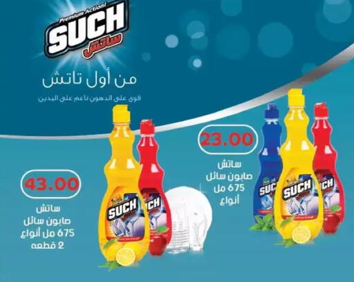 available at Royal House in Egypt - Cairo