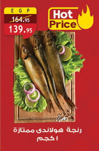 available at الرايه  ماركت in Egypt - القاهرة