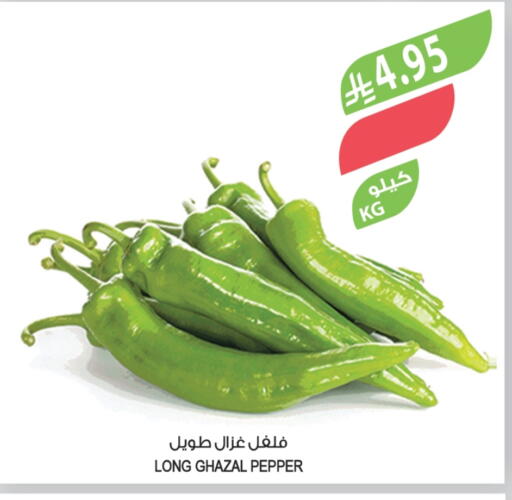 فلفل / فليفلة available at المزرعة in مملكة العربية السعودية, السعودية, سعودية - عرعر