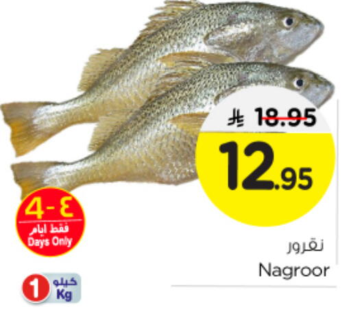 available at Nesto in KSA, Saudi Arabia, Saudi - Al-Kharj