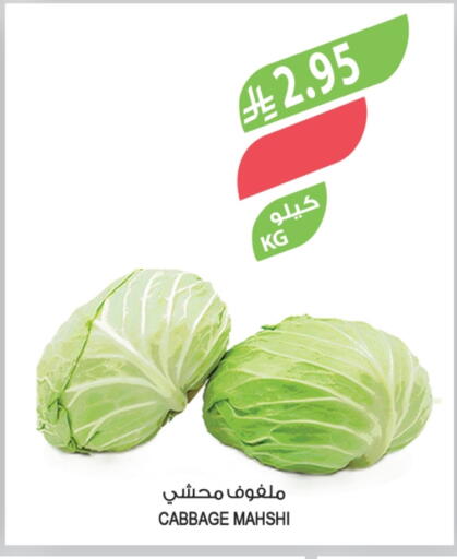 كرنب available at المزرعة in مملكة العربية السعودية, السعودية, سعودية - عرعر