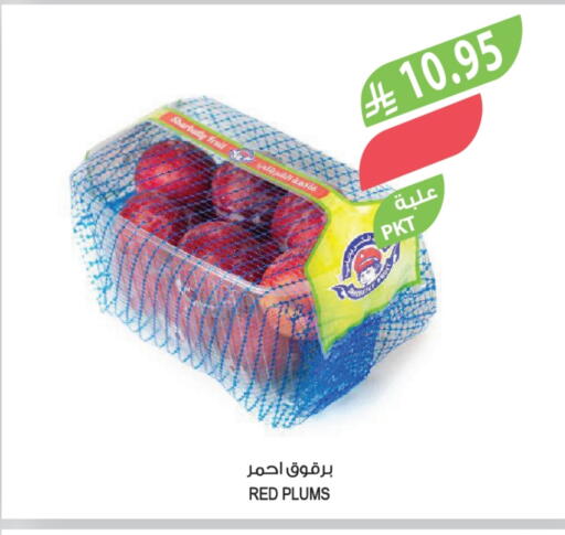 Plums available at Farm  in KSA, Saudi Arabia, Saudi - Abha
