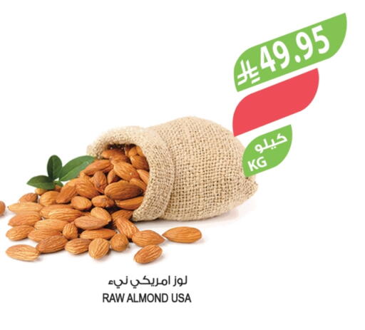 available at المزرعة in مملكة العربية السعودية, السعودية, سعودية - عرعر