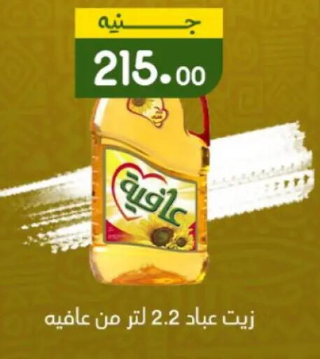 AFIA available at Khan Elhussein in Egypt - Cairo