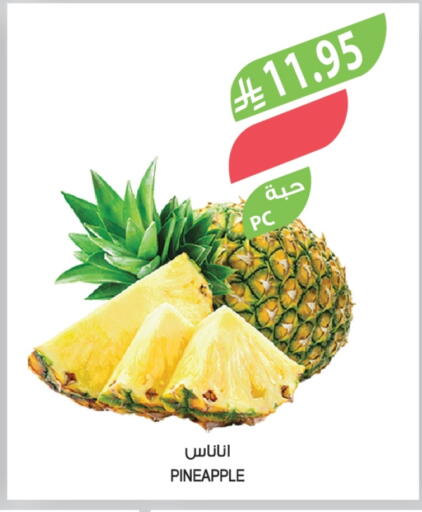 Pineapple available at Farm  in KSA, Saudi Arabia, Saudi - Sakaka