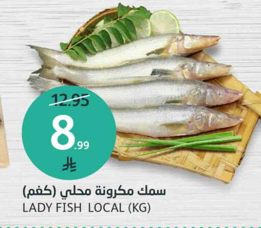 available at AlJazera Shopping Center in KSA, Saudi Arabia, Saudi - Riyadh