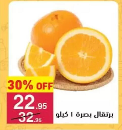 برتقال available at محمود الفار in Egypt - القاهرة