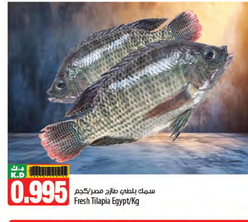 Mango available at مانجو هايبرماركت in الكويت - محافظة الأحمدي