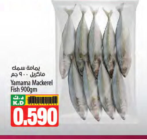 Mango available at Mango Hypermarket  in Kuwait - Ahmadi Governorate