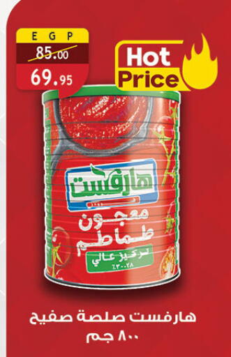 Tomato Paste available at Al Rayah Market   in Egypt - Cairo