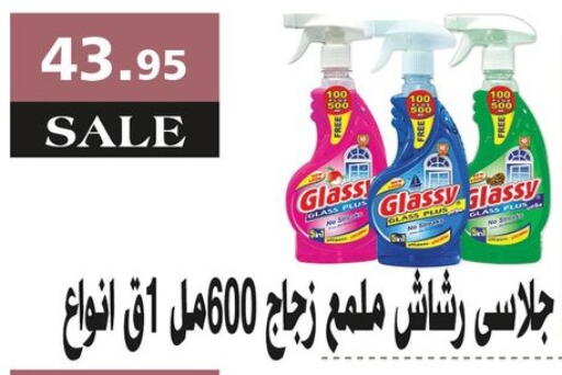 Glass Cleaner available at Al Rayah Market   in Egypt - Cairo