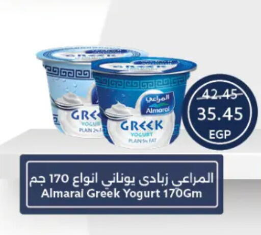 المراعي زبادي يوناني available at  أوسكار جراند ستورز  in Egypt - القاهرة