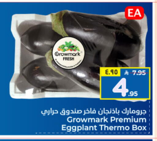 Eggplant available at Hyper Al Wafa in KSA, Saudi Arabia, Saudi - Mecca