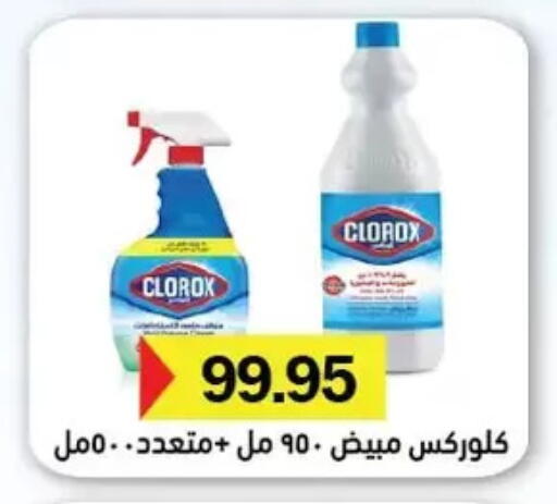 CLOROX General Cleaner available at Royal House in Egypt - Cairo