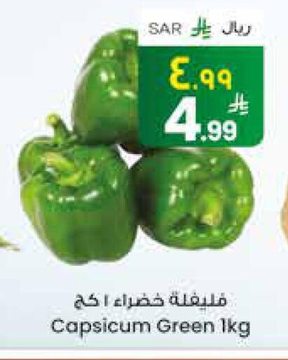 Chilli / Capsicum available at City Flower in KSA, Saudi Arabia, Saudi - Najran