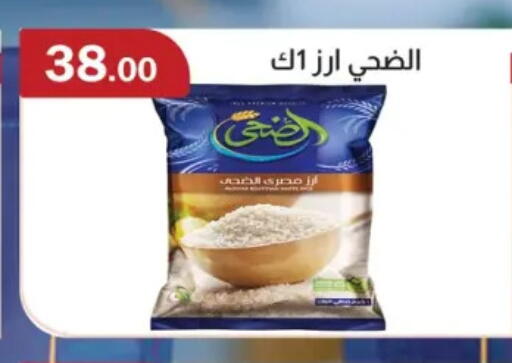 Calrose Rice available at ABA market in Egypt - Cairo