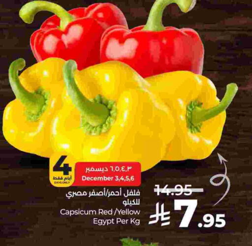فلفل / فليفلة from Egypt available at لولو هايبرماركت in مملكة العربية السعودية, السعودية, سعودية - الجبيل‎