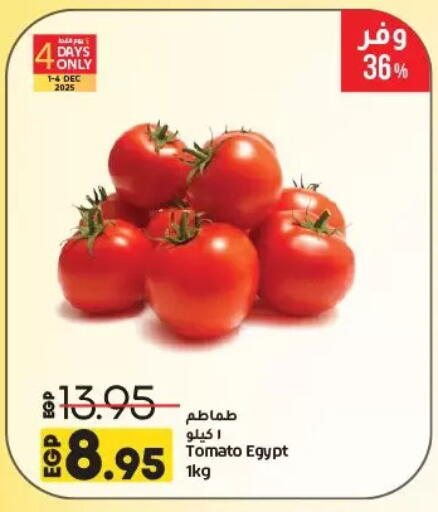 طماطم from Egypt available at لولو هايبرماركت in Egypt - القاهرة