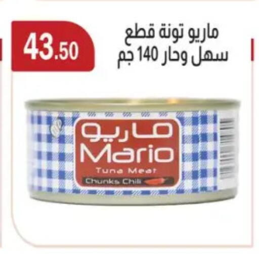 Tuna - Canned available at ABA market in Egypt - Cairo