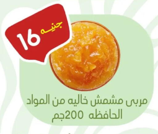 available at Khan Elhussein in Egypt - Cairo