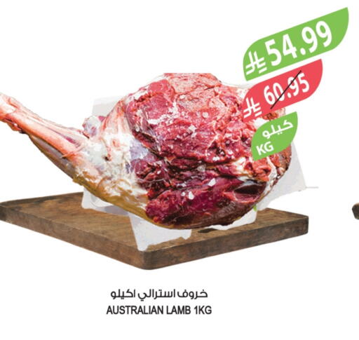 Mutton / Lamb available at Farm  in KSA, Saudi Arabia, Saudi - Al-Kharj