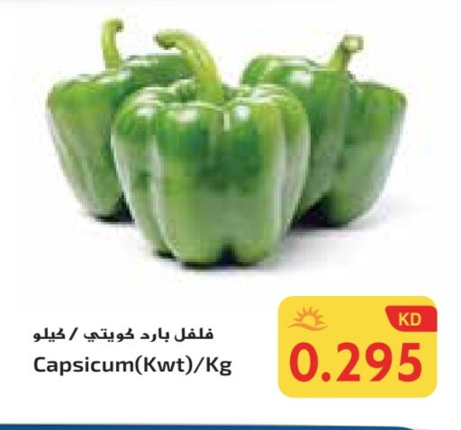 Chilli / Capsicum available at Grand Costo in Kuwait - Ahmadi Governorate