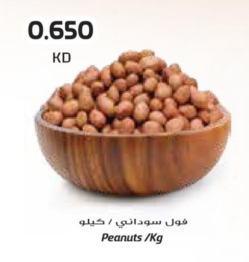 available at Grand Costo in Kuwait - Ahmadi Governorate